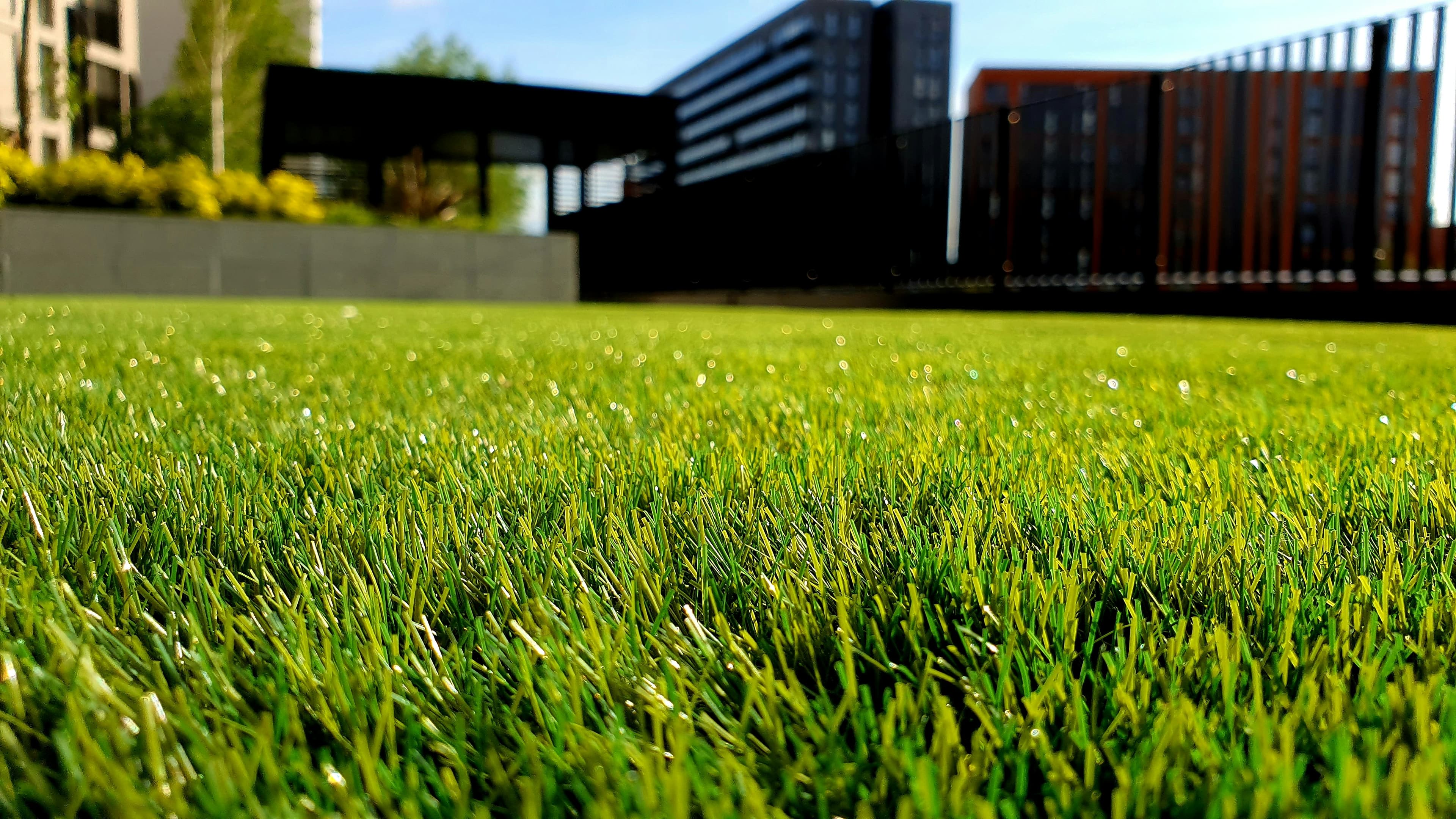 lblCategoryGardening